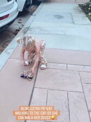 A post by @lovelabrant on TikTok caption: waking her doggy😍 @savv.labrant #fyp #freestyle #xy #aw #christian #doggy #car #baby #fypdoesntwork #xyzbca #savlabrant #posierayne #la