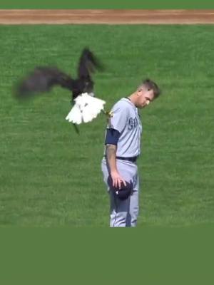 A post by @sports337 on TikTok caption: how would you handle this situation ?? 😳😳#MLB #baseball #sports #foryou #fyp