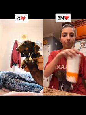 A post by @teo_love01 on TikTok