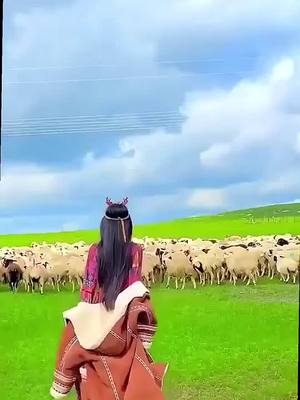 A post by @rurallifee on TikTok caption: Would you like to live the shepherd’s life with me? #shepherd #prairie #fly #foryou