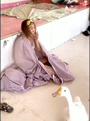 A post by @trendingleader on TikTok caption: Lazy wife, naughty farmer husband, funny way to get up#getup #funny #fun #funnyvideos #wife #wifeandhusband #lazy #farmer #husband #fyp #fy #foryou