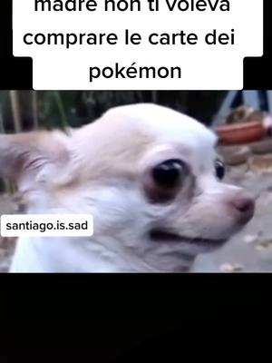 A post by @raz3n_yt on TikTok caption: #ragazzosilenzioso #lista #perte #fyp #neiperte #fypシ #pokemon #meme