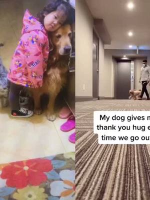 A post by @petslovely3 on TikTok caption: #duet with @lunatheminicockapoo Pets is my family’s ❤️#MyPFP #doggy #tiktokanimals #dogsoftiktok #fyp #foryou