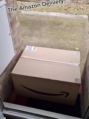 A post by @hanks278 on TikTok caption: #amazon #delivery #parcel #tiktokpostie #justwhy #hanks278