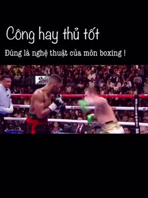 A post by @boxingfighting00 on TikTok caption: Good attack, good defense.  It is true that the art of boxing #boxing #vothuat #UFC #mma #fight #fouryou #fouryoupage #fy #fyp