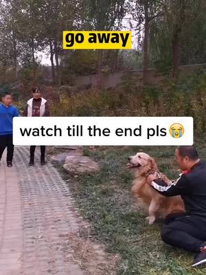 A post by @lindabiki on TikTok caption: dog will always love you😭#petlover #foryou #dog