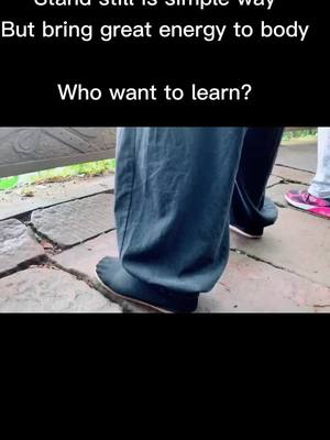 A post by @ystanding on TikTok caption: Learn #taichi from my bio link FREE