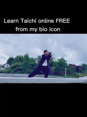 A post by @ystanding on TikTok caption: #taichi #taiji #stabdstill