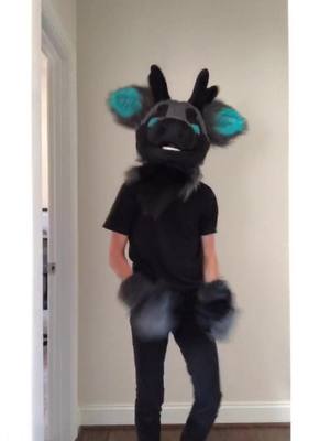 A post by @rexthefur on TikTok caption: Here he is! His name is Benz! He’s was designed by @silverwuff  and made by @blackcheetah905 #furry #furryfandom #happy #Love