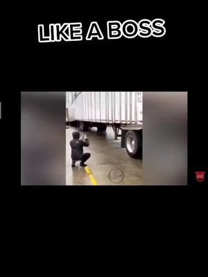 A post by @raz3n_yt on TikTok caption: like per la p.2 #perte #viral #like #likeaboss