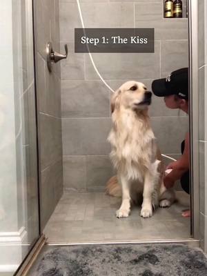 A post by @goldenbenjamin on TikTok caption: how to take a bath by Benny 🛁