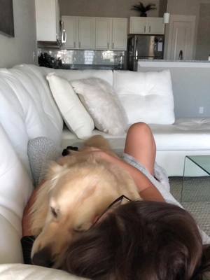 A post by @goldenbenjamin on TikTok caption: so cuddly 🥺