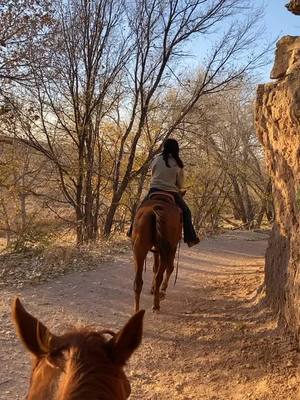 A post by @christianconaway on TikTok caption: Billie and I were just enjoying the sights this evening on this amazing fall day in Texas #foryoupage #foryou #texas