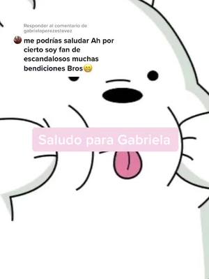 A post by @ecandalososypeludos on TikTok caption: Responder a @gabrielaperezestevez #saludadosparamiescandalosos #parti #escandalosos #saludandoamisseguidores