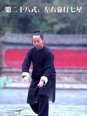 A post by @ystanding on TikTok caption: #taichi #taiji #healthy #health