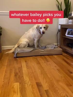 A post by @sleepybailey on TikTok caption: listen to bailey!!! #makeitmini #OurType #VansCheckerboardDay #fyp #foryoupage #viral #dog #puppy #makemefamous #like #follow #share #comment