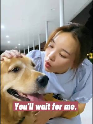 A post by @twobitfun on TikTok caption: It's my greatest fortune to have met you.🐕🐕❤️🥰#foryou #fyp #dog #pet #animals