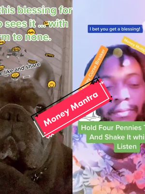 A post by @mr.yoshi_thefrenchie on TikTok caption: #duet with @kingsoon4774 #money #mantra #manifest #kingsoon4774