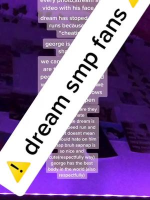 A post by @txbbo_xoxo on TikTok caption: BRUH WTF IS WRONG WITH SOME PEOPLE #fyp #foryou #tiktok #mcyt #dream #sapnap #georgenotfound