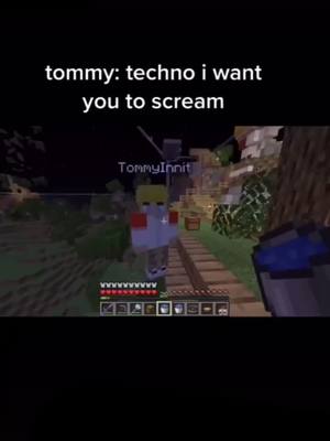 A post by @txbbo_xoxo on TikTok caption: meet technoblade and tommyinit </3 #fyp #foryou #fyp #fy #tiktok #tommyinit #technobalde #screaming