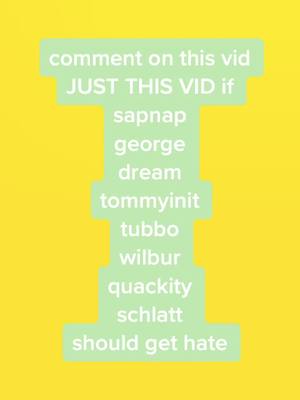 A post by @txbbo_xoxo on TikTok caption: go on i’ll wait for the comment :) <3 #hate #comment #like #follow #share #dreamsmp #sapnap #georgenotfound #dream #tommyinit #tubbo #wilbur #quackity