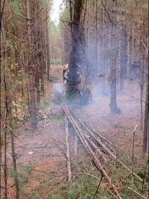 A post by @arrontelles on TikTok caption: #arkansas #870 #logginglife #logging