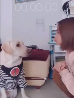 A post by @tk06fy on TikTok caption: #cuite ##foryou #dog @momocat48