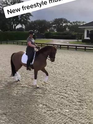 A post by @hannahdressage on TikTok caption: Can’t wait to be back in Wellington 😍 #Love #dressage #horse #equestrian #fei #selenanetflix #WildAnimals #BagelBopsContest