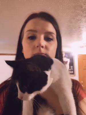 A post by @hailey47848 on TikTok caption: He was so confused #fyp #cat #trend #tux #cute #dance