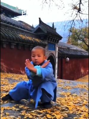 A post by @rickyzhou686 on TikTok caption: LOVELY KIDS MONK PRACTICING#practice #sports