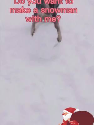 A post by @crazy__pets on TikTok caption: Come on ,baby❤️#puppy #dog #foryou #HolidayCrafts