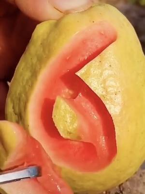 A post by @fruit_lover100 on TikTok caption: #guava #fruit #yellow #fyp #share #