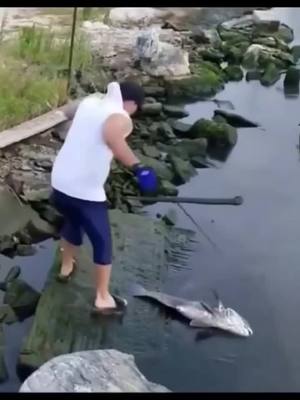 A post by @lovefishing123 on TikTok caption: Does this happen to you?#outdoor #fishing