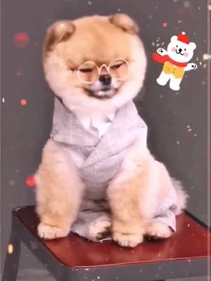 A post by @dogfunlive on TikTok caption: #CapCut cute baby #dog #tiktok #petlover #cute #puppy #cutebaby #funny #fyp #foryou