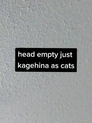 A post by @hqship on TikTok caption: if kagehina not real why kagehina.                  #haikyuu #hinata #kageyama #kagehina