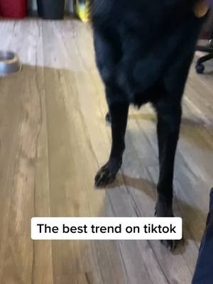 A post by @thegoodboyroyal on TikTok caption: My favorite TikTok trend by far #itstartedwhenwewereyounger @nikkokelaidis @juliedimartino8 @jentryjo