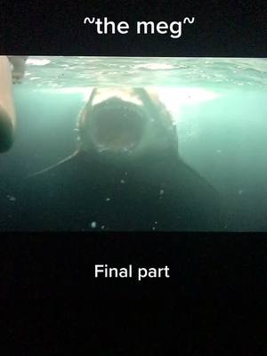 A post by @moviess_xotrailer on TikTok caption: Final part🥳 #themeg #shark #movie #scary #foryou 🦈✨