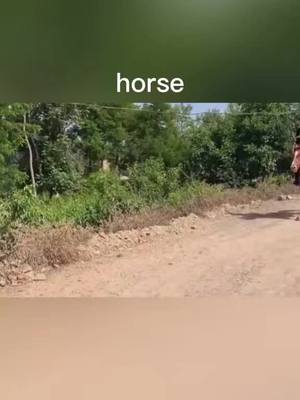 A post by @christinaflores30 on TikTok caption: Hit #Wishlist #foryou #funnyvideos