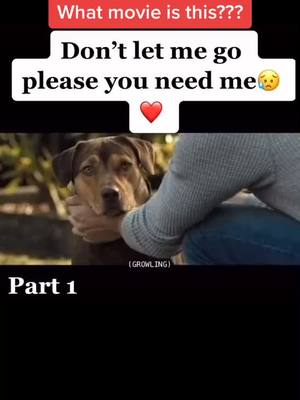 A post by @thebestfilmscenes on TikTok caption: #movie #scene #moviescene #movieclips #intense #fy #fyp #dog #pets #intense #trend #tiktok #xyzbca #film #foryou #foryoupage #films