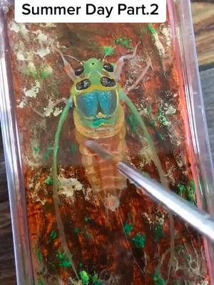 A post by @resinpainting on TikTok caption: #resin #painting #foryoupage #fyp #myart #insect