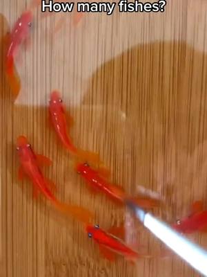 A post by @resinpainting on TikTok caption: #resin #painting #foryoupage #fyp #myart #koi