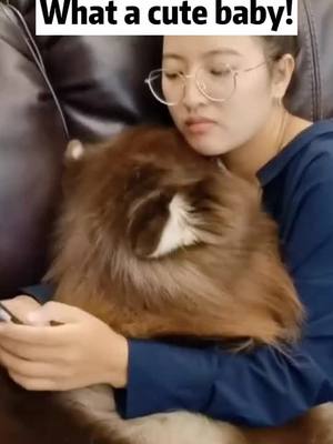 A post by @petfamilyy on TikTok caption: Do you like me? #foryou #dog #puppy #cute