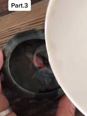 A post by @resinpainting on TikTok caption: #resin #painting #foryoupage #fyp #myart #koi