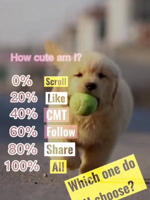 A post by @doggieloving on TikTok caption: #fyp #puppy #dog #doglove #puppylove #pet