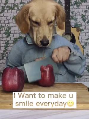 A post by @doggieloving on TikTok caption: #fyp #puppy #dog #doglove #puppylove #pet