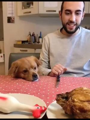 A post by @victorsan125 on TikTok caption: It’s my chicken!!!😠😠😠#foryou #dogs #fyp