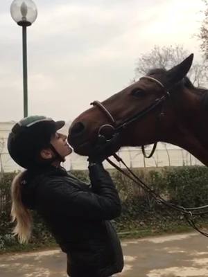 A post by @andrealarghi.hr on TikTok caption: sarai per sempre la mia casa, la mia felicità, ciao amore mio ti amo tantissimo💛🔐 #cytinka #perte #horselover #horseriding #equitazione #fyp