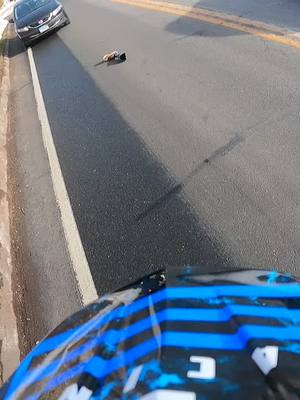 A post by @onelegdilly on TikTok caption: Here’s the no sound version!! Hope you like 🤣🤣 #fyp #foryoupage #disability #amputee #bikelover #bikelife #bikelifeworld #supermoto #motorcycle