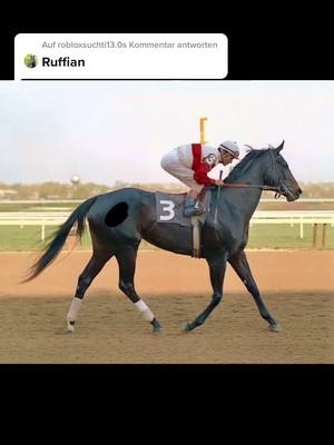 A post by @drawinguniversum on TikTok caption: @robloxsuchti13.0 antworten 🖤🖤🖤#foryou #foryoupage #viral #rip #legende #horse #pferd #ruffian #ruffiantot #racehorses