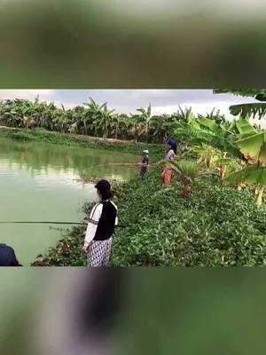 A post by @fisherman525 on TikTok caption: Who wans to fish#fishing #fish #fisher #fyp